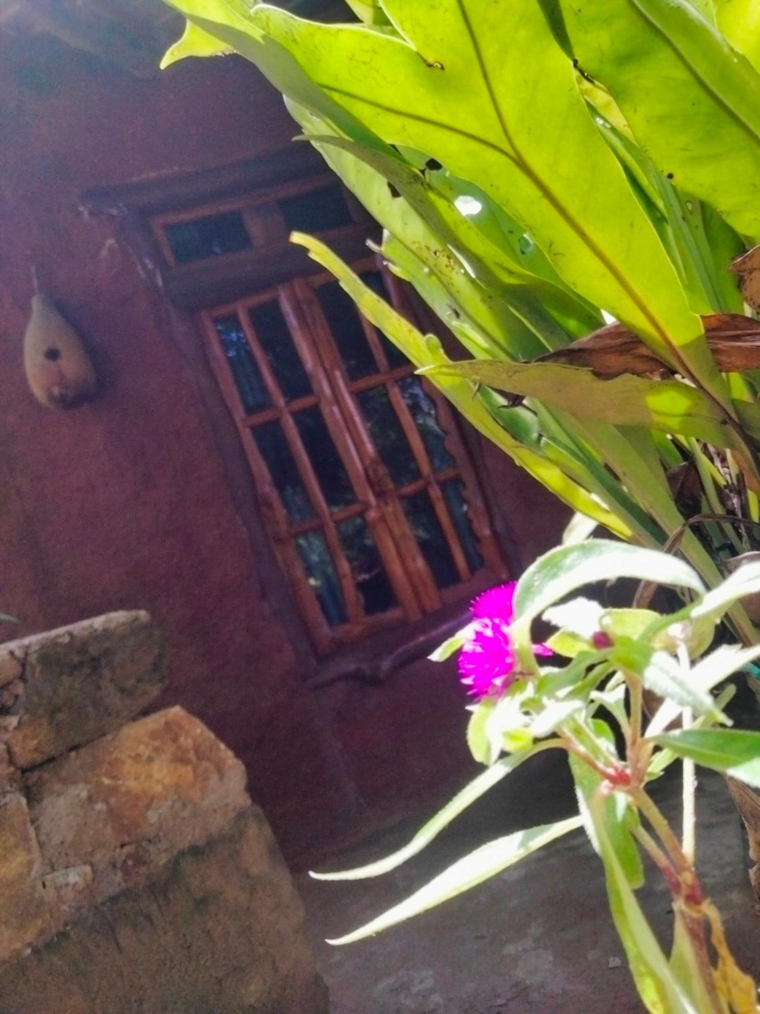 Ella Bay Homestay Exterior foto